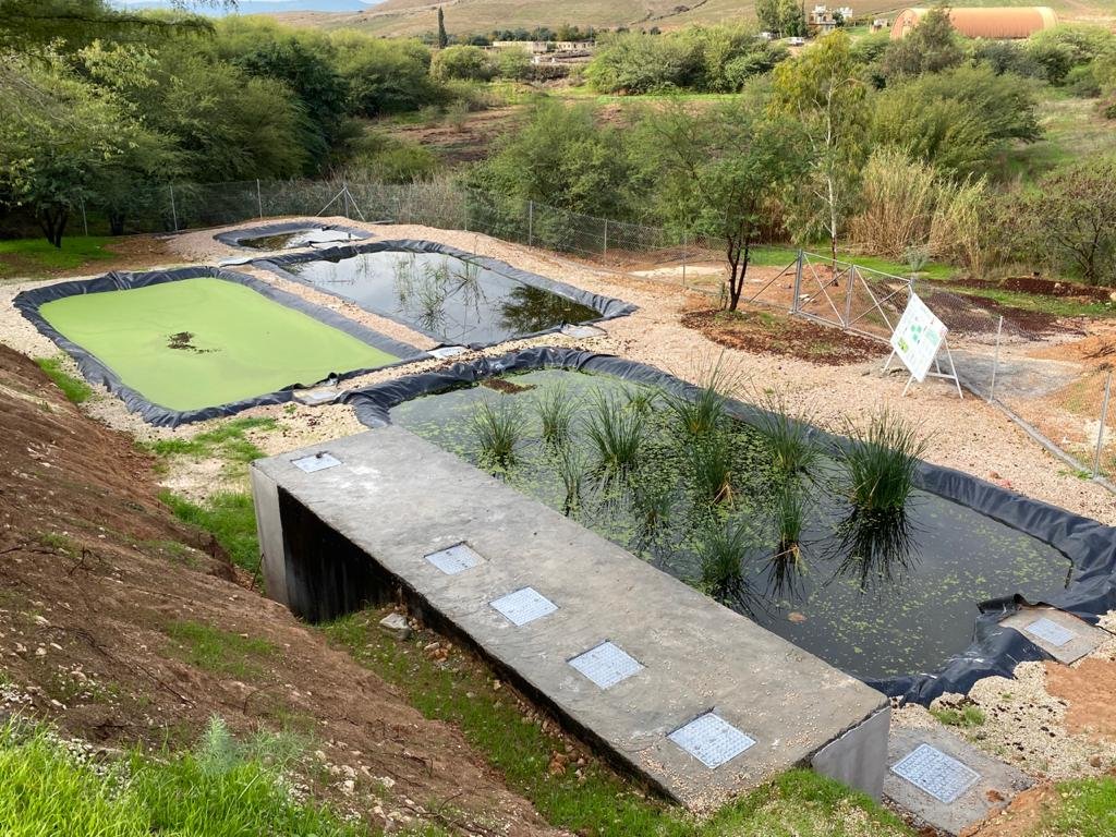 Die Pflanzenkläranlage im nahegelegenen Besucherzentrum Sharhabil Bin Hassneh (SHE) EcoPark, bestehend aus drei Becken.